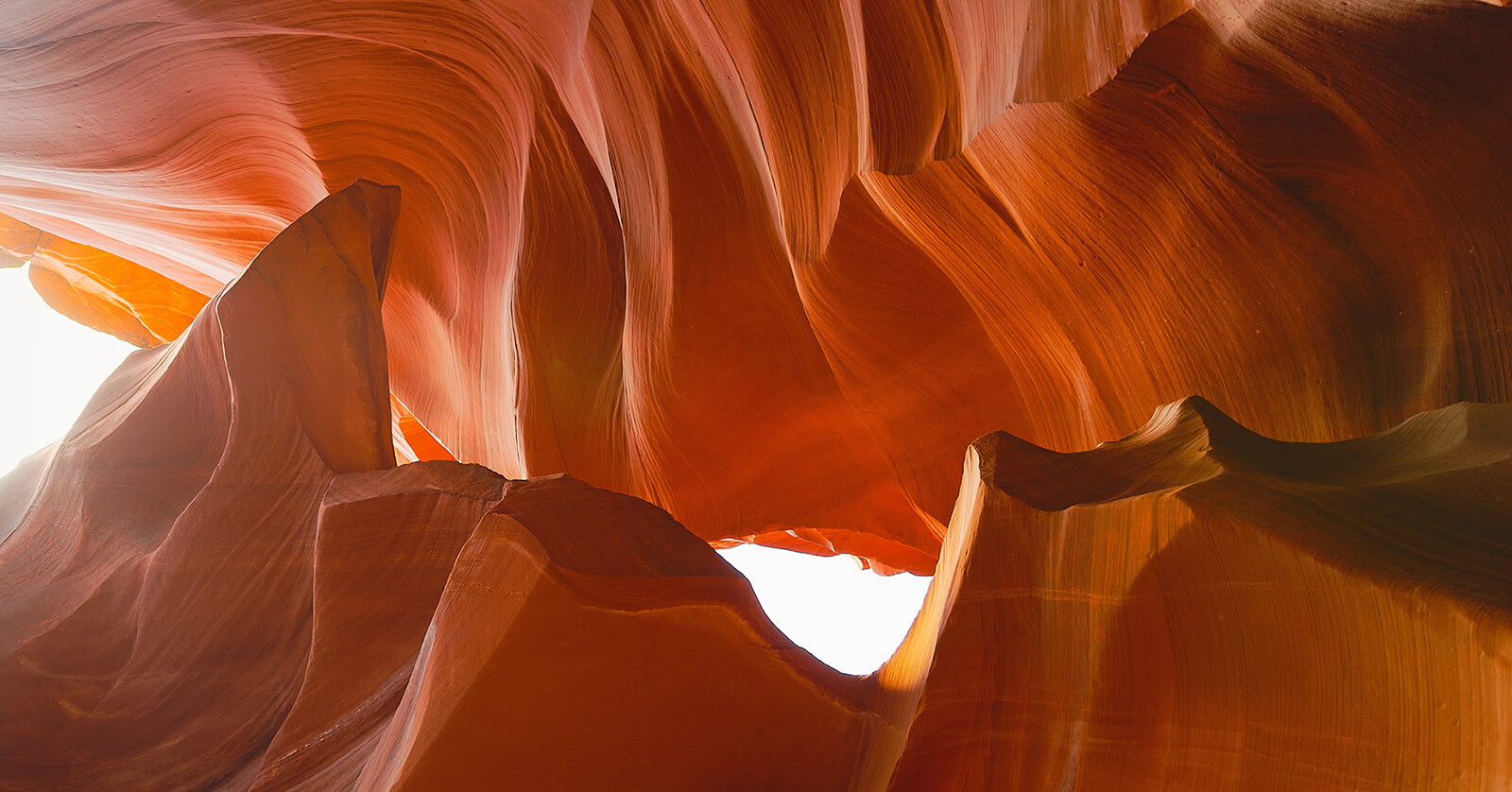 COMUNICACIÓN, VISIBILIDAD Y ACCIONES DE IMPACTO